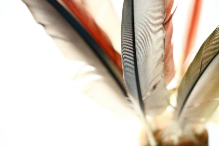 Poets Near Hillsborough/Chapel Hill/Durham: Submit to 3 Poets Reading
